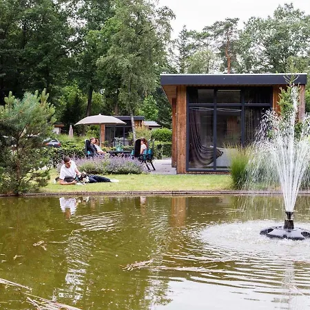 Modern With Dishwasher, On A Park, Close To Park De Veluwe Chalet Lunteren